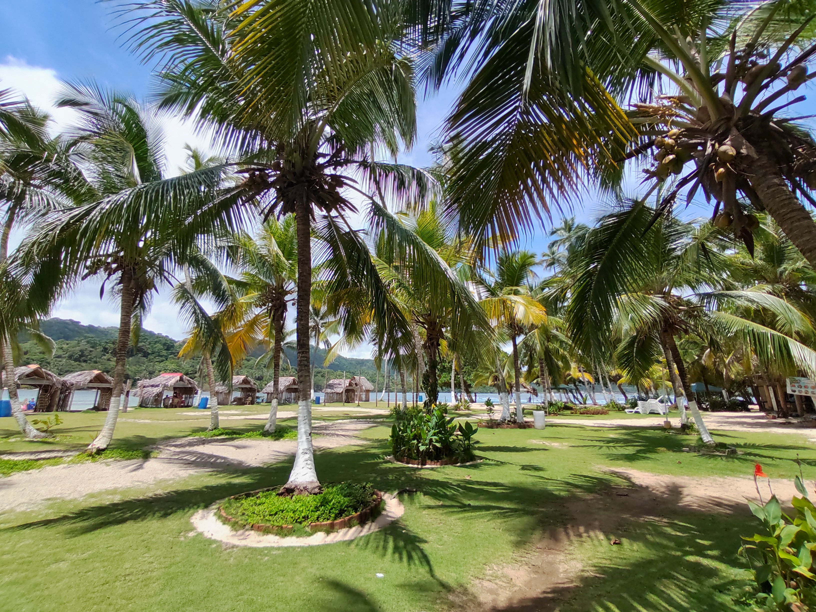 Afro-Caribbean Beach Escape